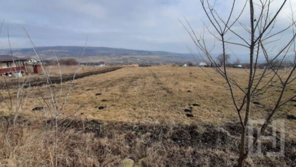 Teren intr-o  zona frumoasa, linistita , Valea Fanatelor, zona cu case