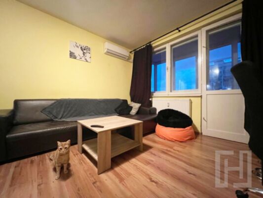 Apartament living + bucatarie,  doua dormitoare, str Bizusa Gheorgheni