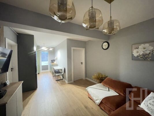Apartament 3 camere, 59 mp, ultrafinisat, zona Frunzisului