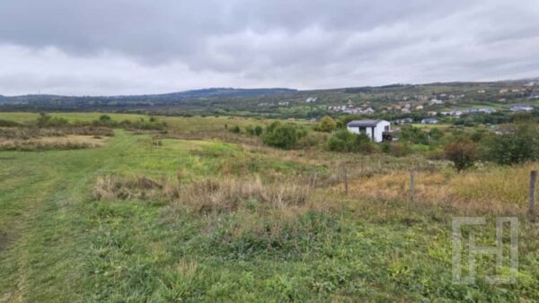 0 % comision, 5 parcele de teren, str Ionel Perlea-Borhanci