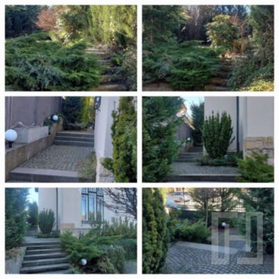 Apartament în vilă, Andrei Muresanu, 185 mp cu terasă și grădină