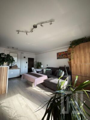 Apartament 2 camere, cu terasa si balcon, parcare subterana, C. Coposu