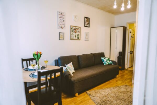 Garsonieră 28 mp + balcon, etaj 10/10, Mănăștur - zona BIG