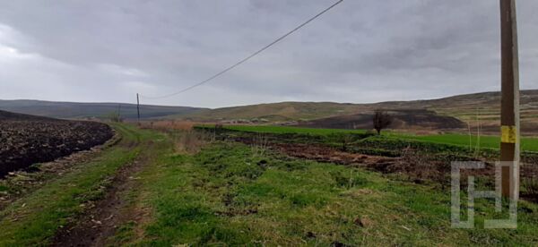 Teren agricol pentru investitii, zona Valea Calda -Iris