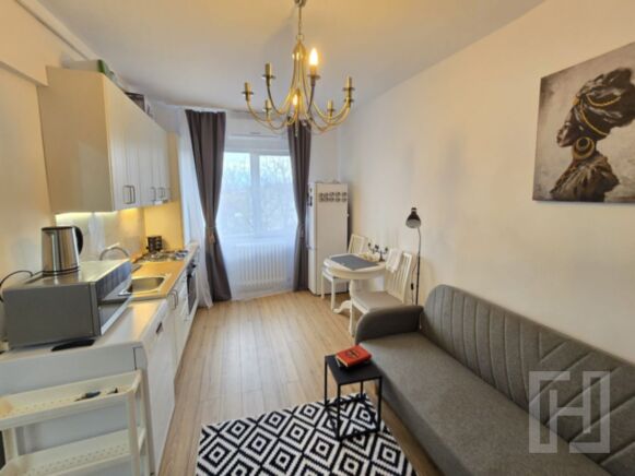 Apartament 1 camera, zona Dambul Rotund-str. Maramuresului