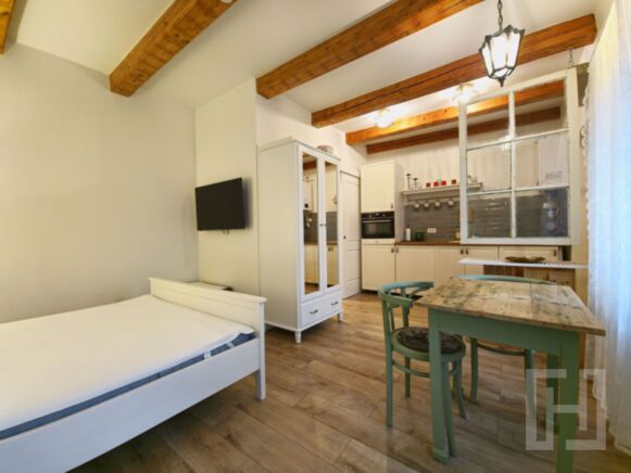 Casa 2 apartamente, ultrafinisate,mobilate la cheie, Horea zona Urania